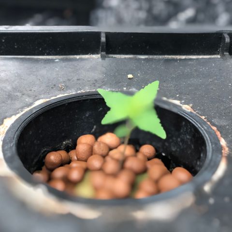 ศรราม growlog timeline photo