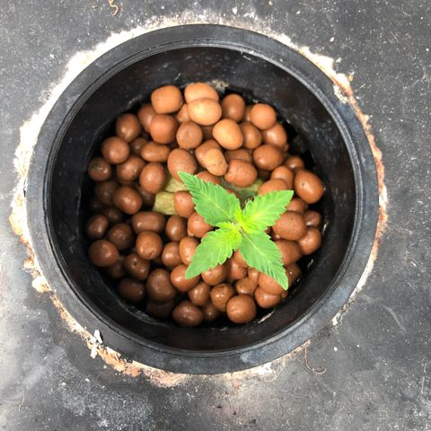 ศรราม growlog timeline photo