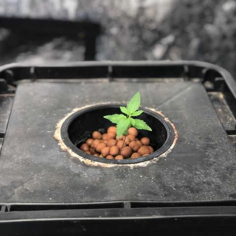 ศรราม growlog timeline photo