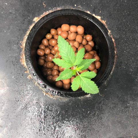 ศรราม growlog timeline photo