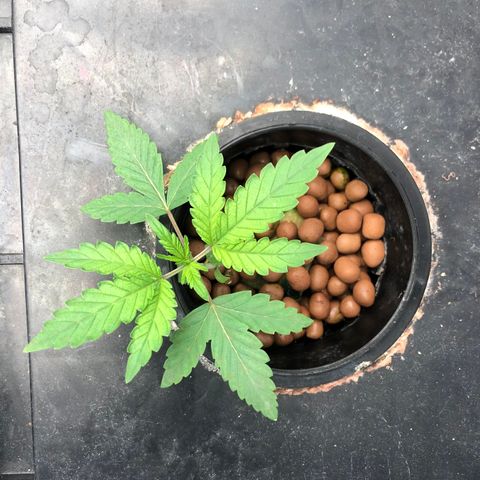 ศรราม growlog timeline photo
