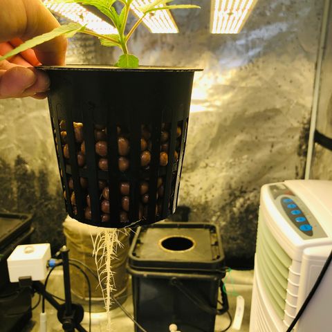 ศรราม growlog timeline photo