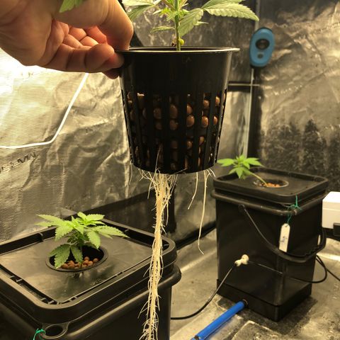 ศรราม growlog timeline photo