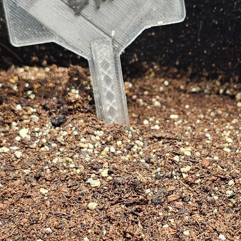 Bruce Banner  growlog timeline photo