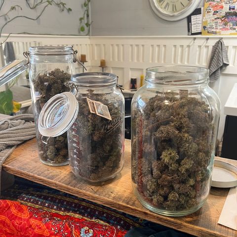 BG growlog timeline photo