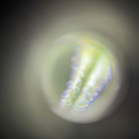 Northen Lights growlog timeline photo