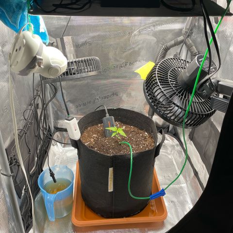 Panama RED 2.0 growlog timeline photo