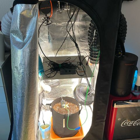 Panama RED 2.0 growlog timeline photo