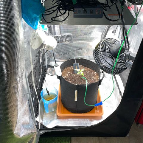 Panama RED 2.0 growlog timeline photo