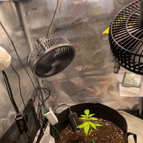 Panama RED 2.0 growlog timeline photo