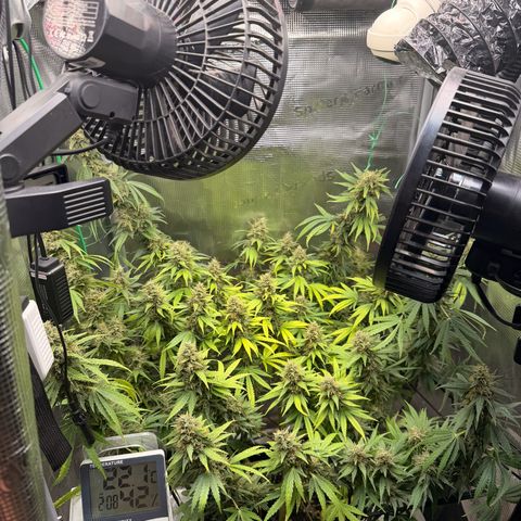 Panama RED 2.0 growlog timeline photo