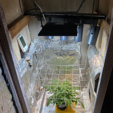 Wedding cake growlog photo: Foi colocado o novo led 100w branco frio Avant 