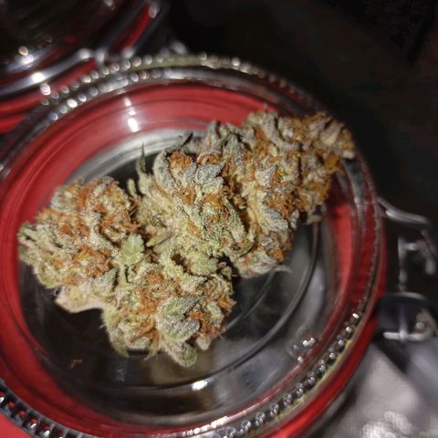 Girl Scout Cookies growlog timeline photo