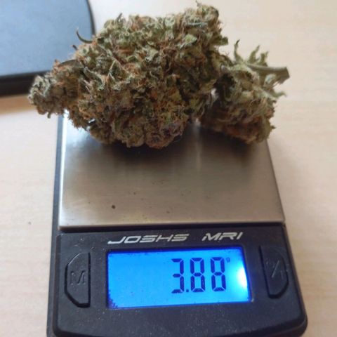 Girl Scout Cookies growlog timeline photo