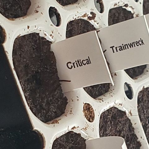 RQS Critical growlog photo