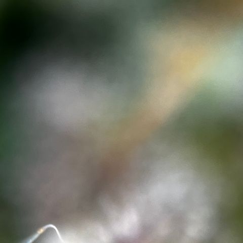 Royal Jack (Auto)  growlog timeline photo