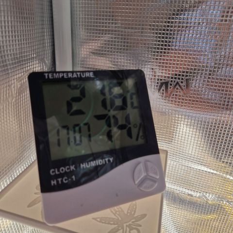 Skywalker OG  growlog timeline photo