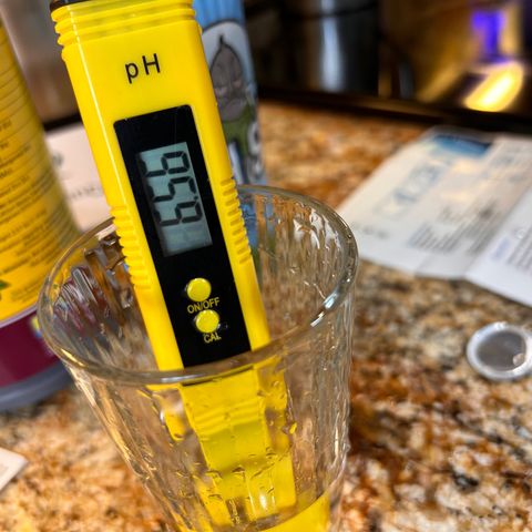 Yo-Rico growlog photo: Transplanted the seedling