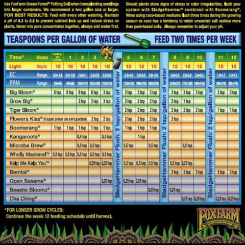 Yo-Rico growlog photo: Feeding schedule 