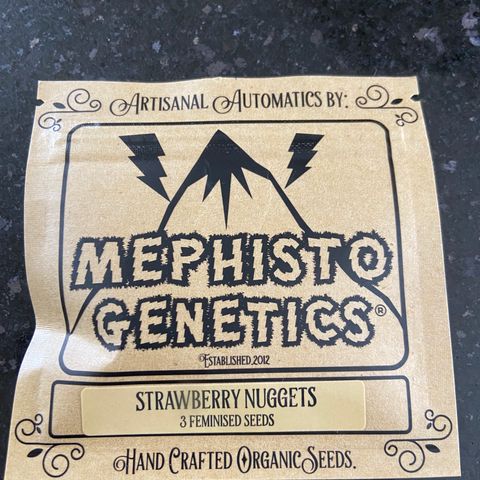 Strawberry Nuggets growlog timeline photo