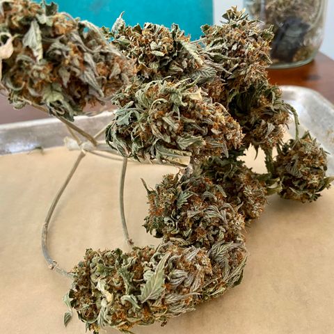 Strawberry Nuggets growlog photo: About 1oz each