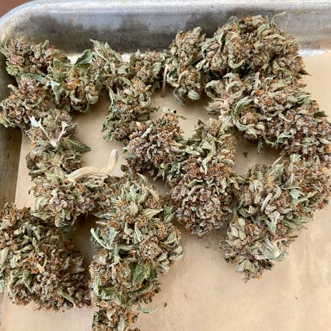Strawberry Nuggets growlog photo: About 1oz each