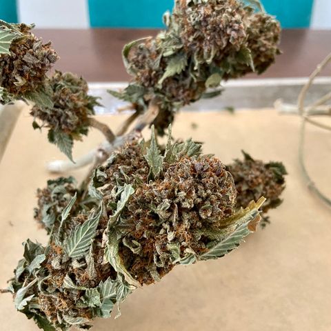 Strawberry Nuggets growlog photo: About 1oz each