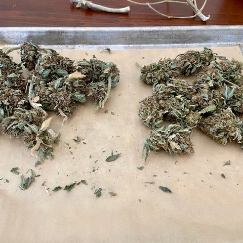 Strawberry Nuggets growlog photo: About 1oz each