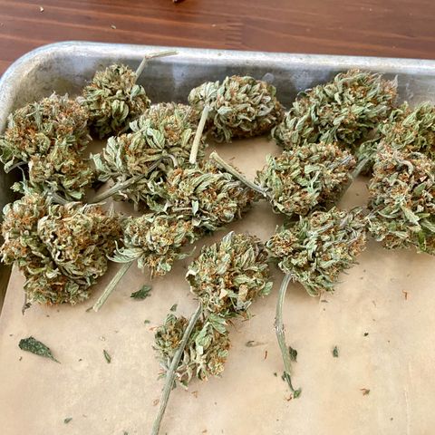 Strawberry Nuggets growlog photo: About 1oz each