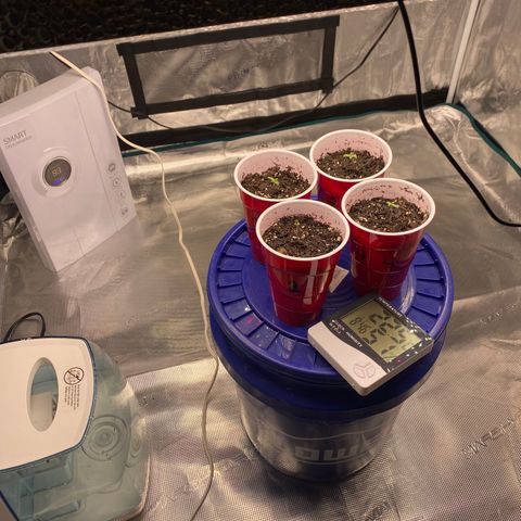 Shadow growlog timeline photo