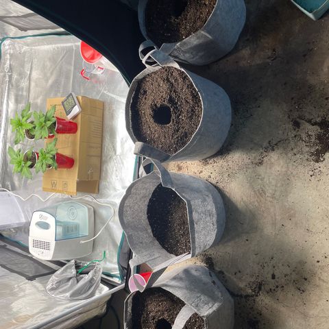Shadow growlog timeline photo