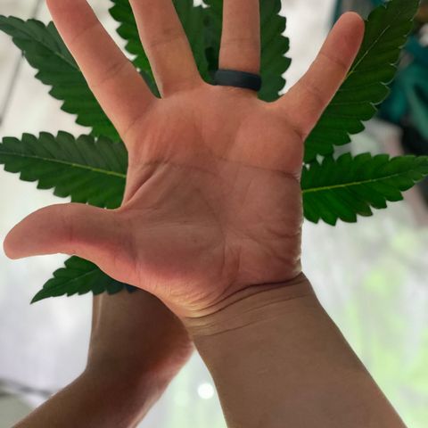Shadow growlog timeline photo