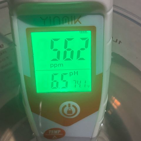 1 growlog photo: Watered 800ml at 6am