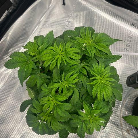 1 growlog timeline photo