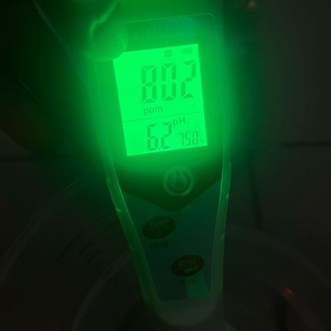 1 growlog timeline photo