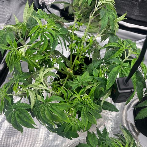 1 growlog timeline photo