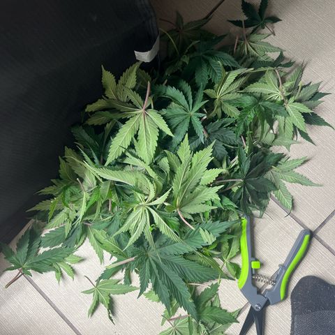 1 growlog timeline photo