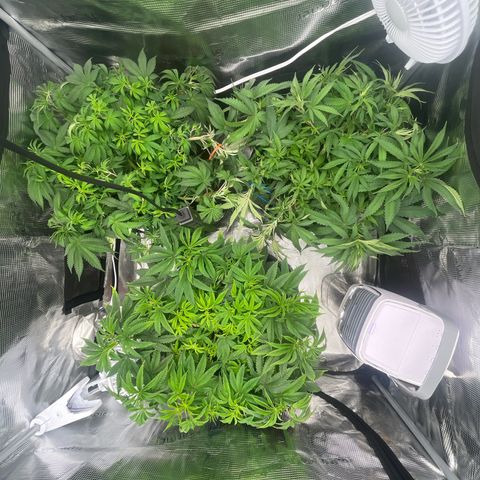 1 growlog timeline photo
