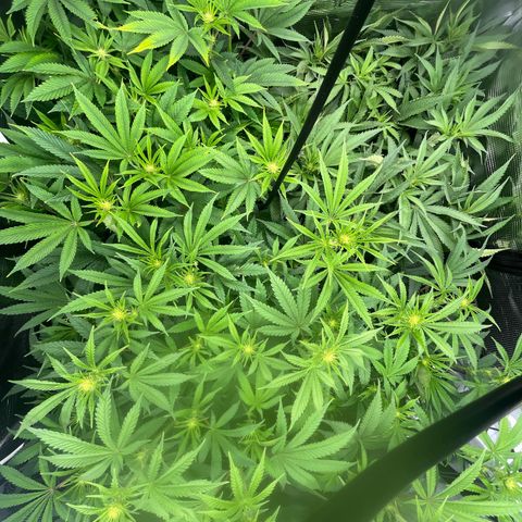 1 growlog timeline photo