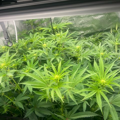 1 growlog timeline photo