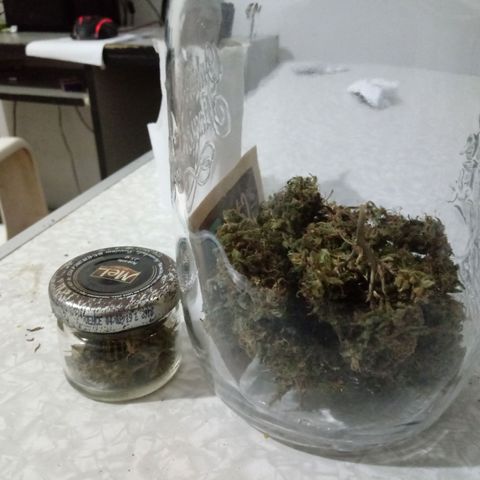 Kush growlog timeline photo