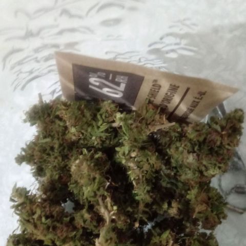 Kush growlog timeline photo
