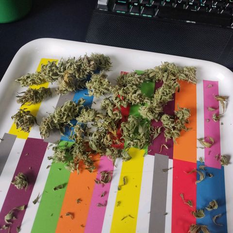 2: Northern lights auto growlog timeline photo
