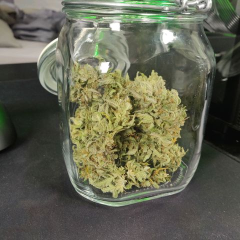 2: Northern lights auto growlog timeline photo