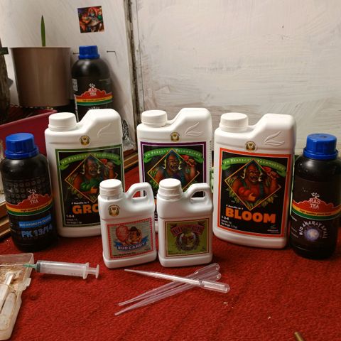 Gorilla Cookies Auto growlog timeline photo