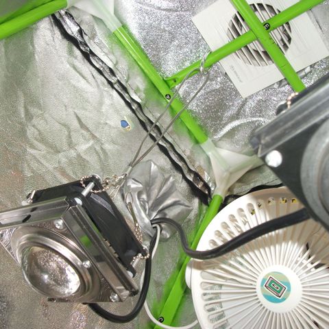 shurak kush  growlog photo: mi configuracion, economica pero resulta, 🌾dos led UFFO de 150w ( 100w ) c/u extractor de baño y un intractor pontente que nl tengo foto pdro ya he de subir y un mini ventilador de carga de 3 velocidades, se enciende solo cuando la led esta ensendida, en horas nocturnas se menstiene solo el intractof, por su potencia no es nesesario el extractor hasta ahora... ys veremos en flora esperemos mas de 2 hembras saludos