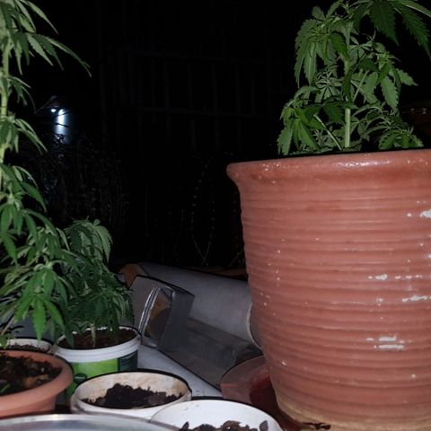 CJ3 growlog photo: Back up 