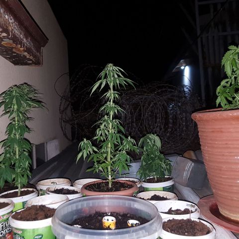 CJ3 growlog photo: Back up 