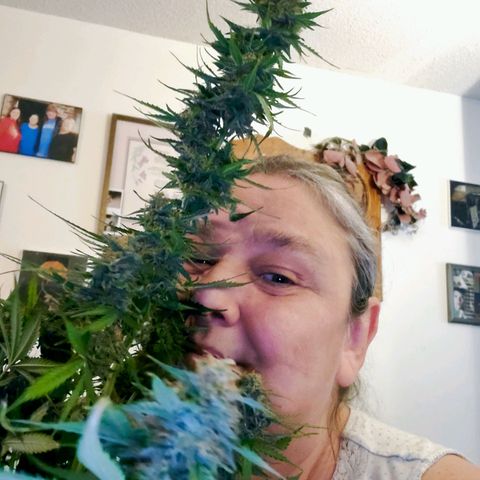 Trainwreck Auto growlog timeline photo