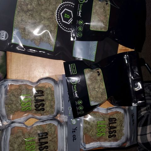 Gorilla Glue Auto growlog timeline photo